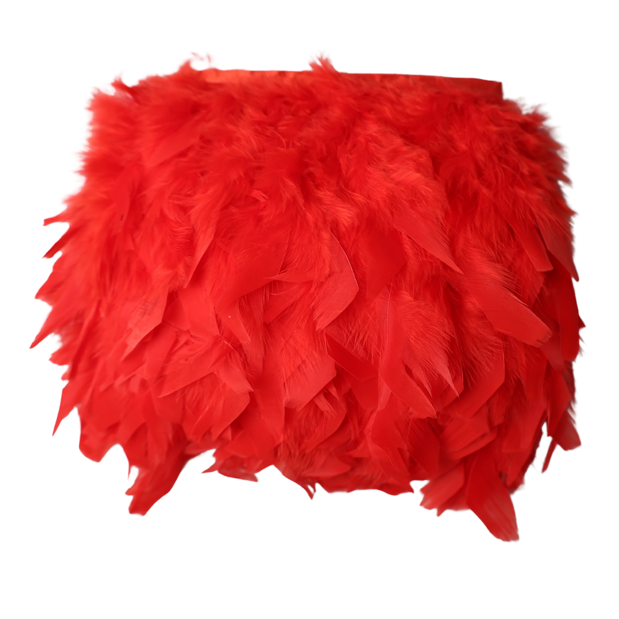 Feather Trim – Natural Craft Supply, 10 Yds, 15 Colors