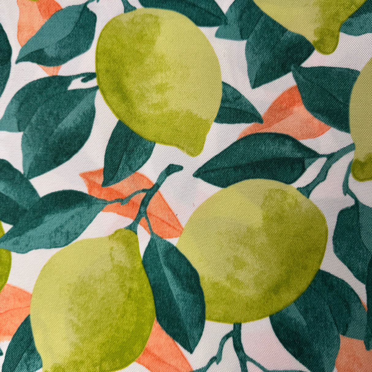 Outdoor Upholstery Fabric, Modern Botanical Leaf & Fruit(5 Styles) - By the Yard