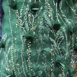 Luxury 3D Floral Embroidered Tulle with Sequins & Beads Design(9 Colors) By the Yard