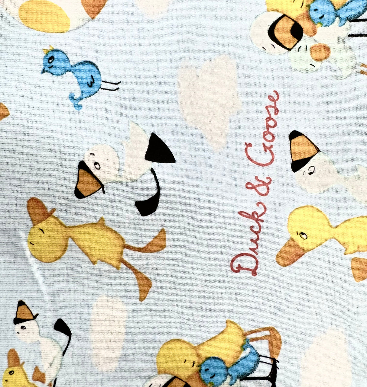 Cotton Jersey Fabric for Winter & Children (5 Types) - By the Yard