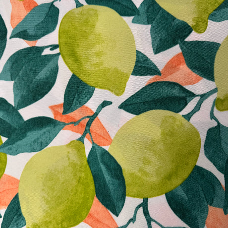 Modern Outdoor Upholstery Fabric, Botanical Leaf & Fruit(5 Styles) - By the Yard