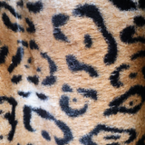 Faux Fur Fabric - Leopard Print (#FF09) By the Yard