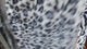 Gray Leopard Print Faux Fur Fabric – Short Pile (#FF12) By the Yard