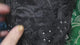 Cutwork Embroidered Lace with Sequins(#EM11) By Yard