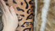 Faux Fur Fabric - Leopard Print (#FF09) By the Yard