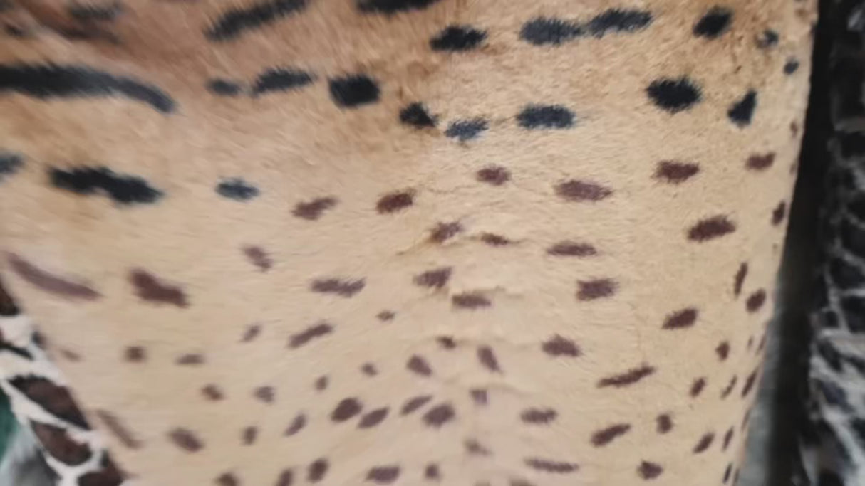 Animal Faux Fur Fabric – Soft Short Pile (5Type) By the Yard