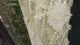 Flower Applique & Stripe Sequin Mesh Fabric – Luxury Lace(#SPI03)By Yard