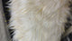 White with gold thread accents Faux Fur Fabric(#FF04) by Yard