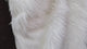 Faux Fur Fabric - White (#FF08) By the Yard
