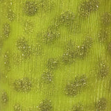 Glitter Floral Tulle Mesh Fabric – Sparkling Flower & Dot Pattern for Dresses, Costumes, Crafts & Event Decor - By the Yard