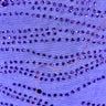 Glitter Pattern Tulle Mesh Fabric – Sparkling Dot, Speckle & Stripe Sheer Fabric for Dresses, Costumes & Crafts - By the Yard
