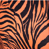 Jersey Knit Fabric Tiger Print(#IT603) - By The Yard